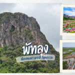 เที่ยว พัทลุง เมืองแห่งธรรมชาติ วัฒนธรรม และวิถีชีวิตที่เรียบง่าย